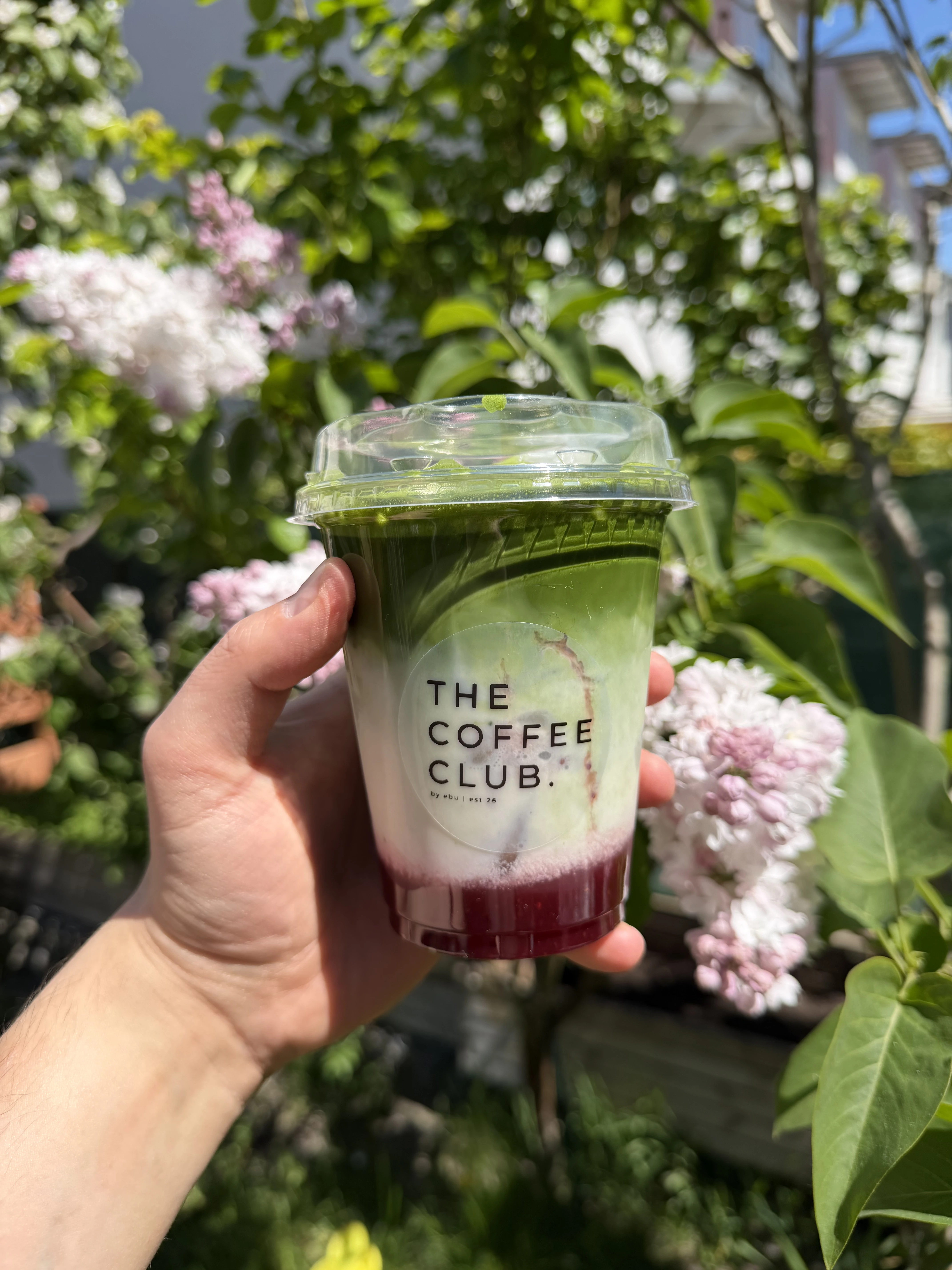 Iced Matcha Strawberry Latte